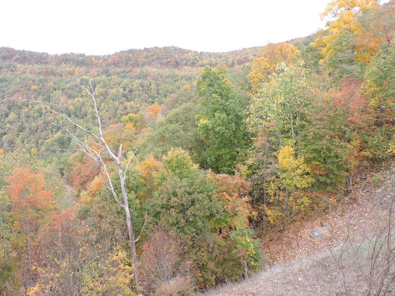 DSCN0818.jpg