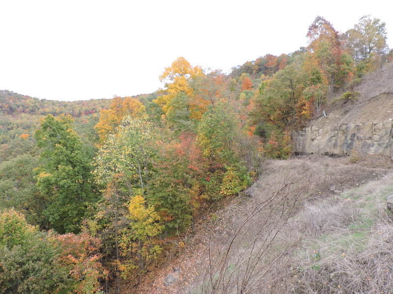 DSCN0819.jpg