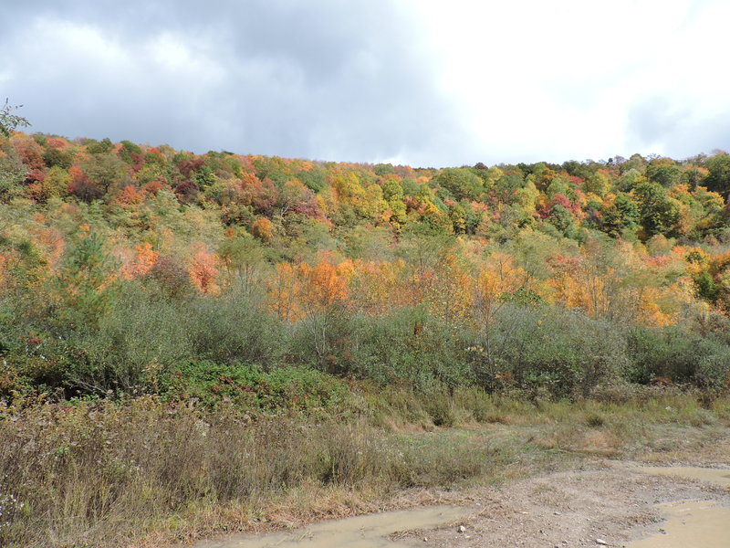 DSCN0843.jpg