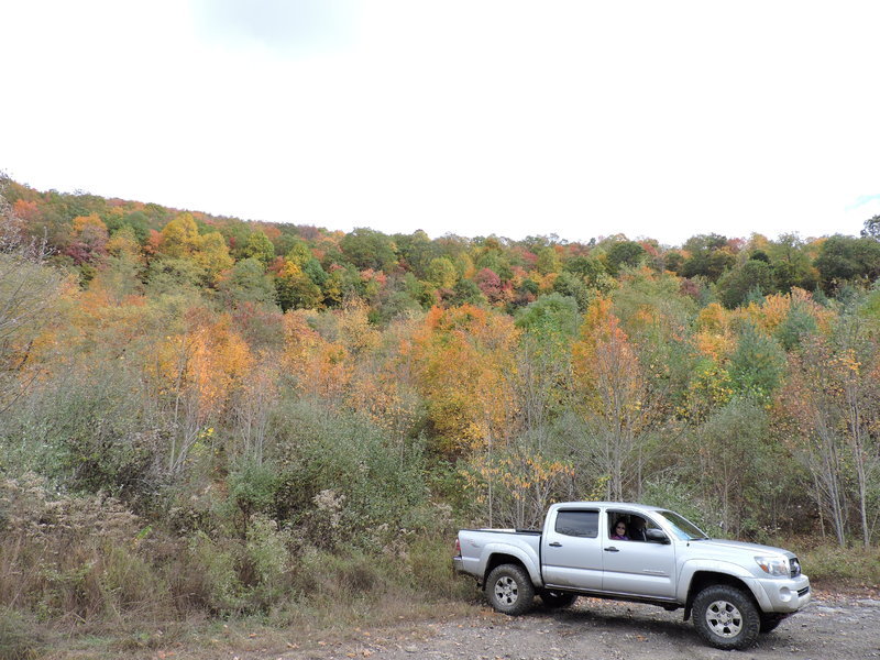DSCN0851.jpg