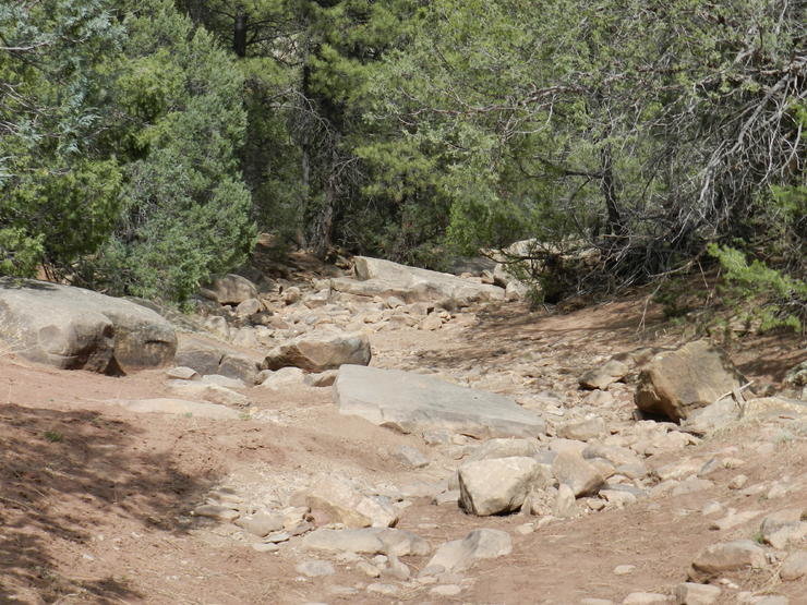 DSCN0926.jpg