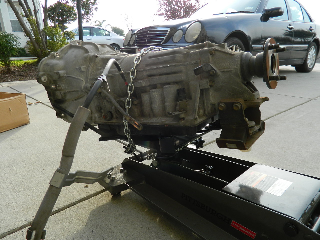 DSCN0929.jpg