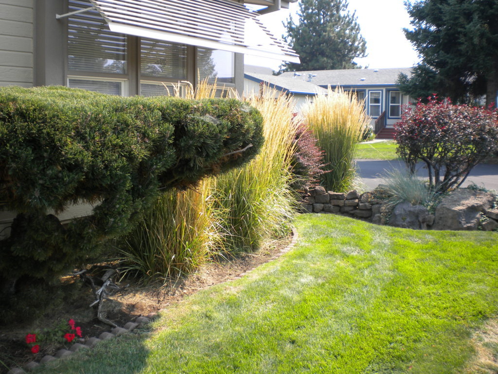 DSCN0941.jpg