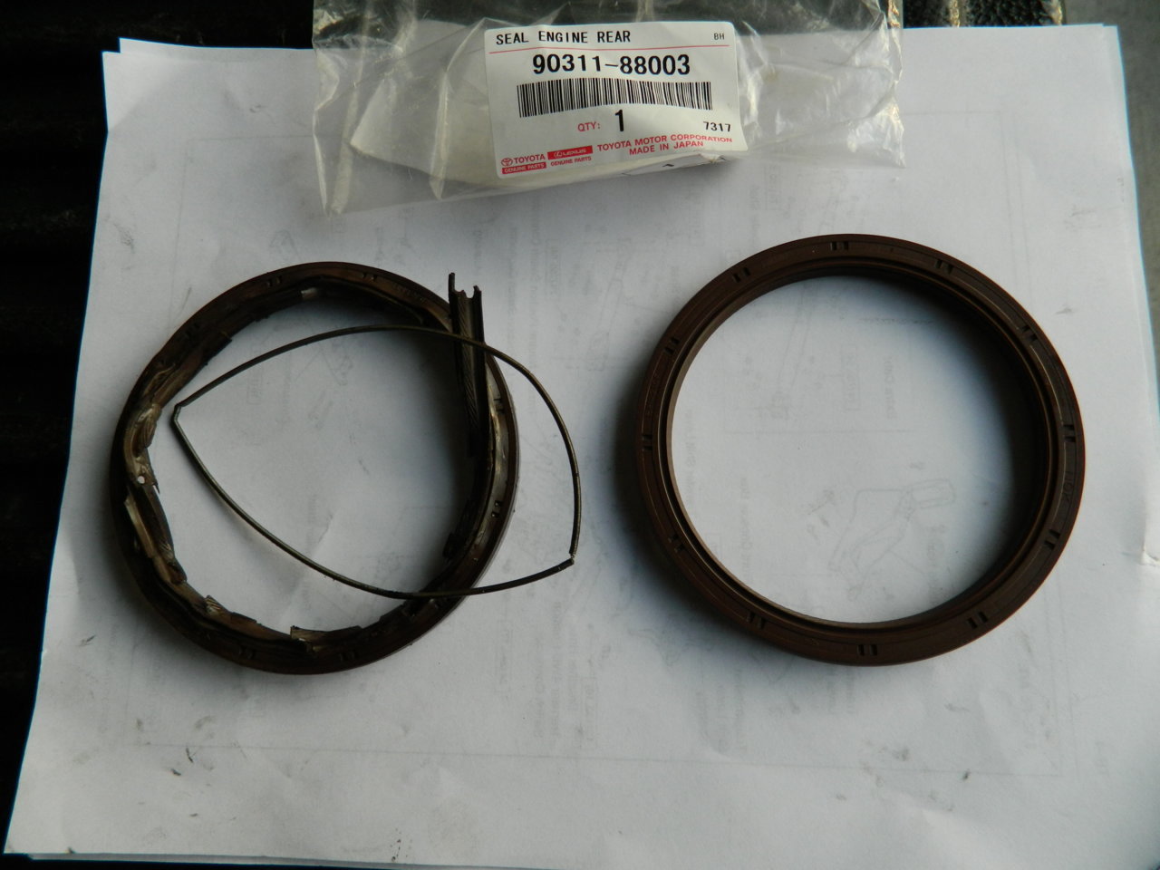 DSCN0982.jpg