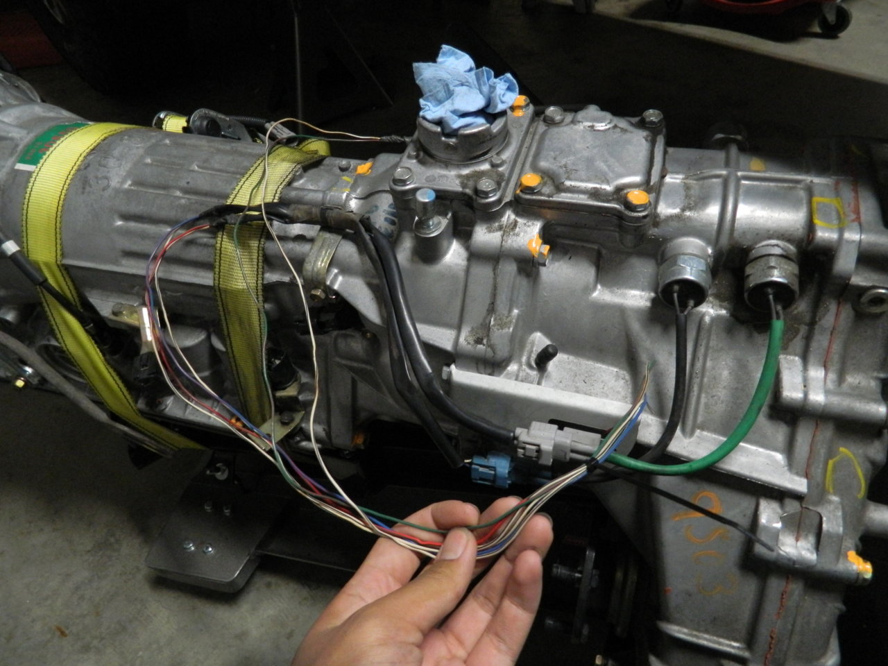 DSCN0992.jpg