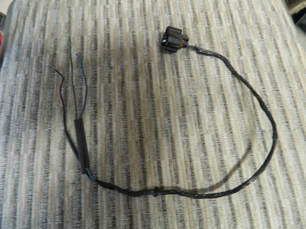 DSCN1008.jpg