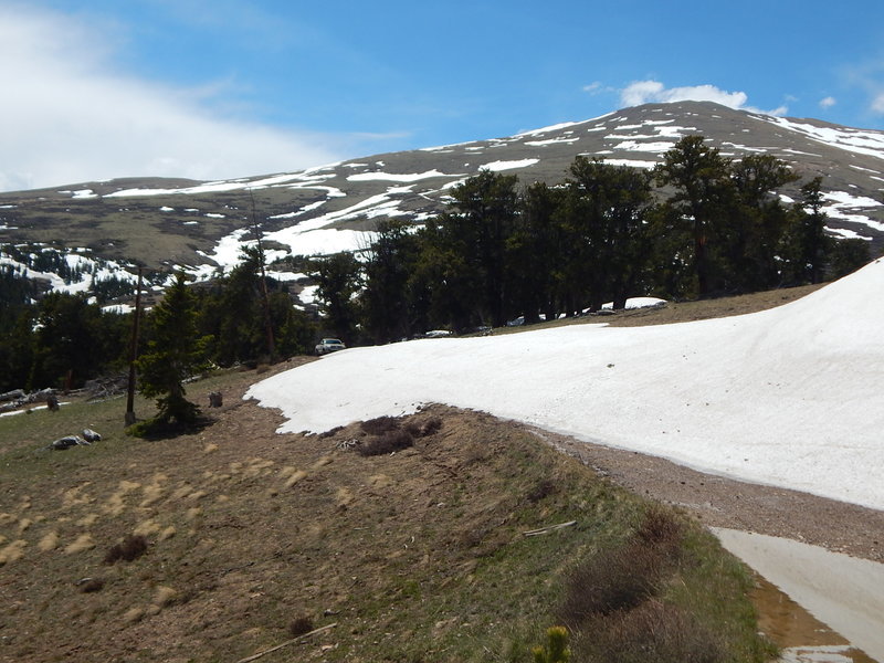 DSCN1022.jpg