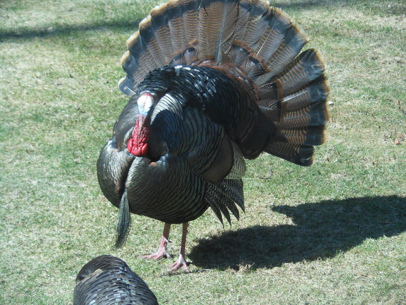 DSCN1045.jpg