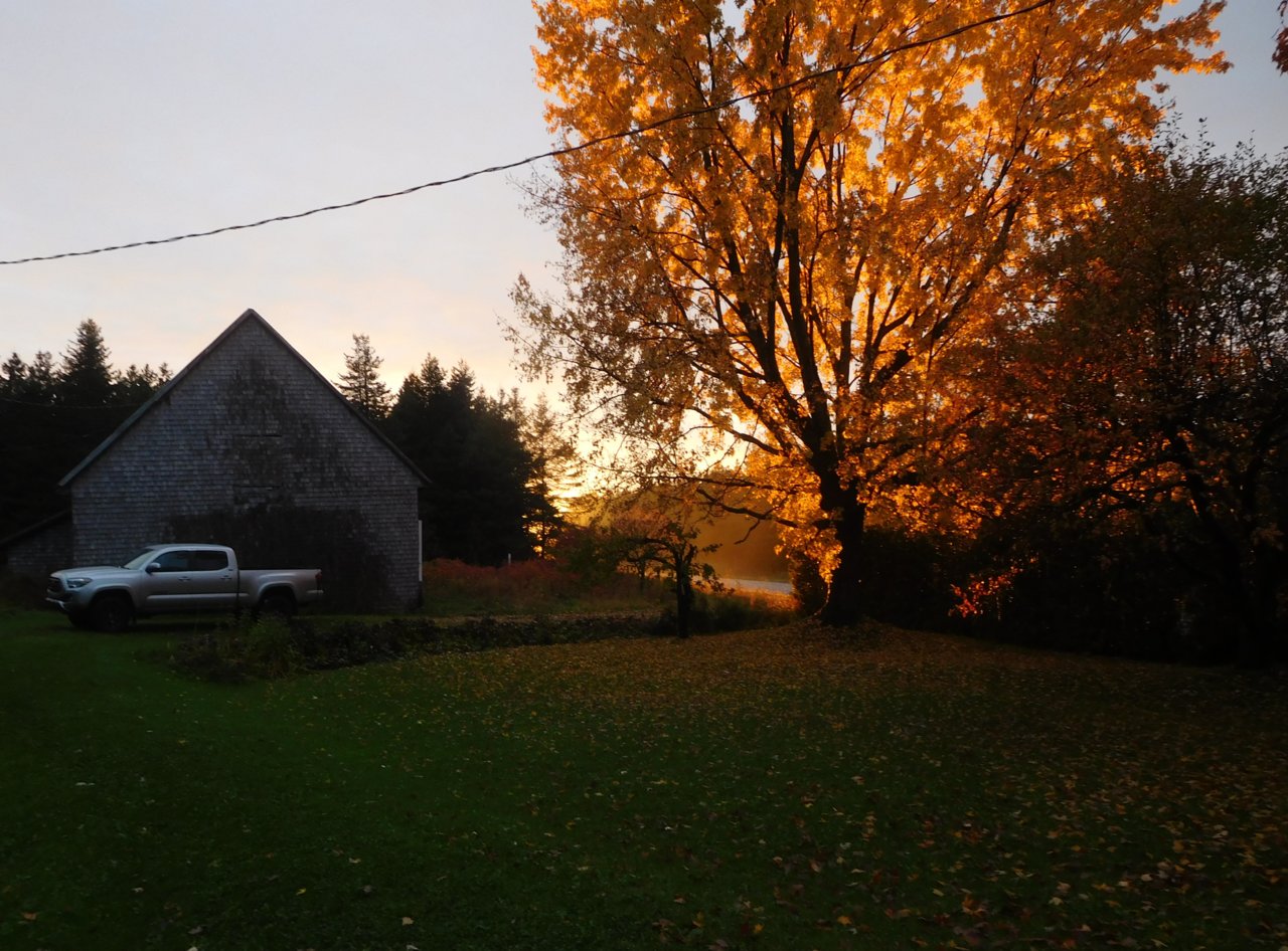 DSCN1087.jpg
