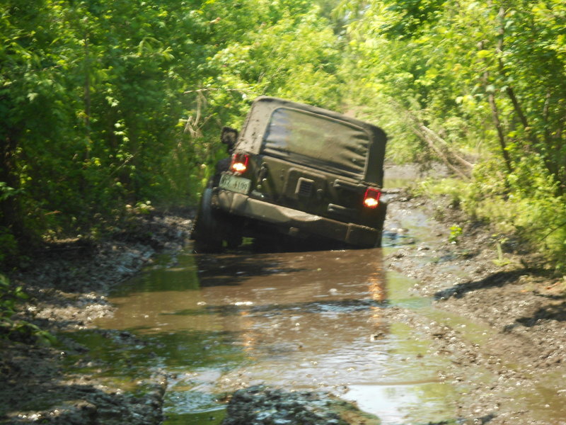 DSCN1103.jpg