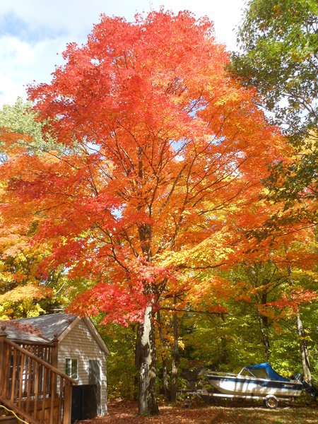 DSCN1111.jpg
