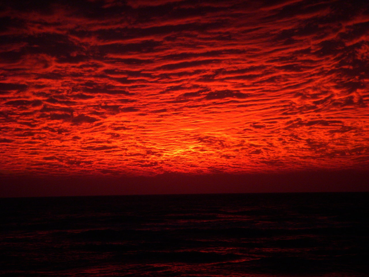 dscn1123_337.jpg
