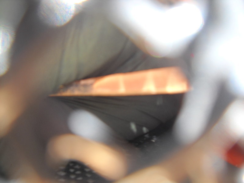 DSCN1133.jpg