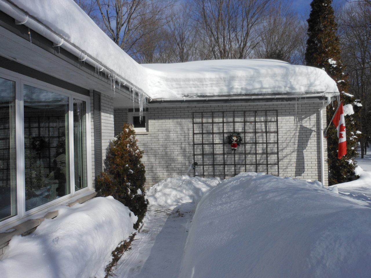 DSCN1152.jpg