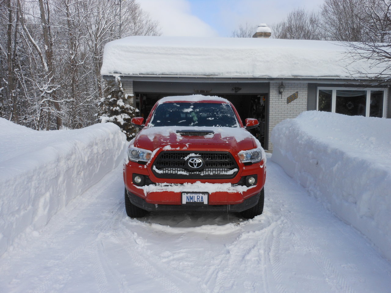 DSCN1157.jpg
