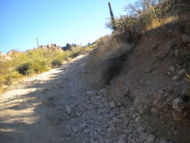DSCN1174_ce2af0d8bc997b6ad448fb5cad38f7665cc4d067.jpg