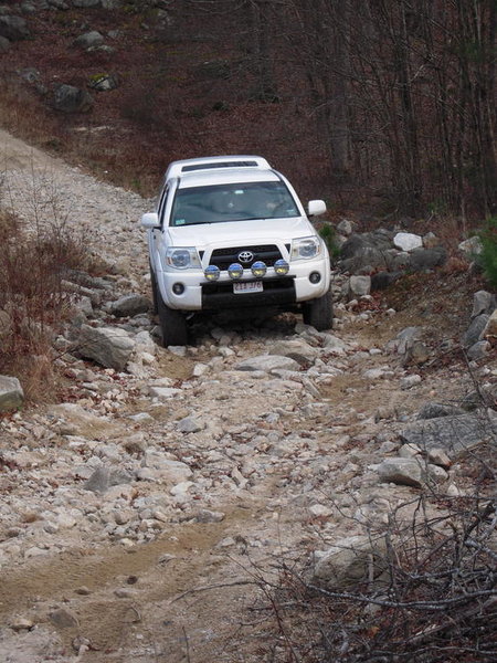 DSCN1186.jpg