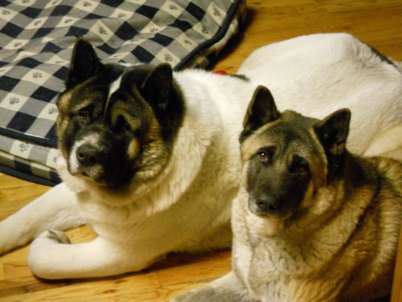 DSCN1280.jpg