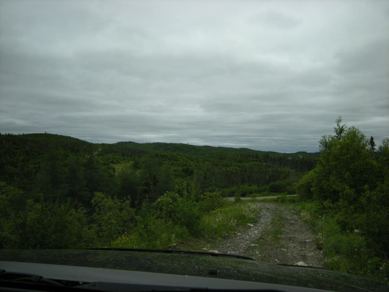 DSCN1452.jpg