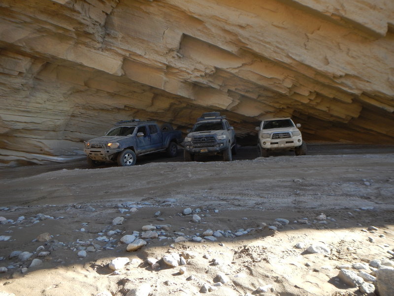 DSCN1481.jpg