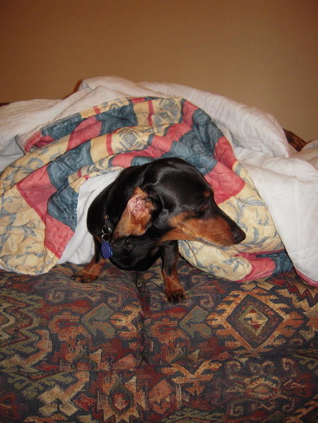 DSCN1514.jpg