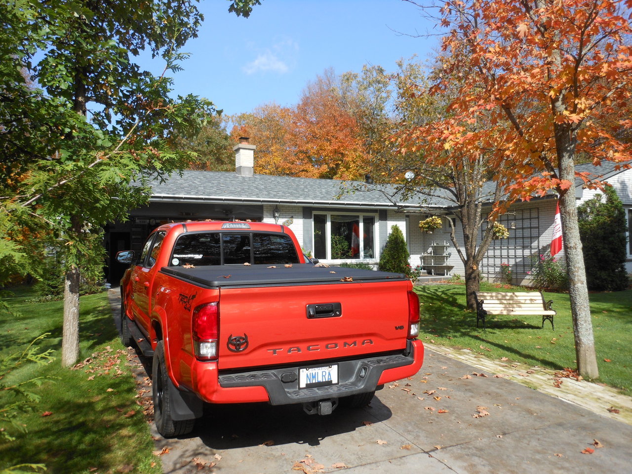 DSCN1546.jpg