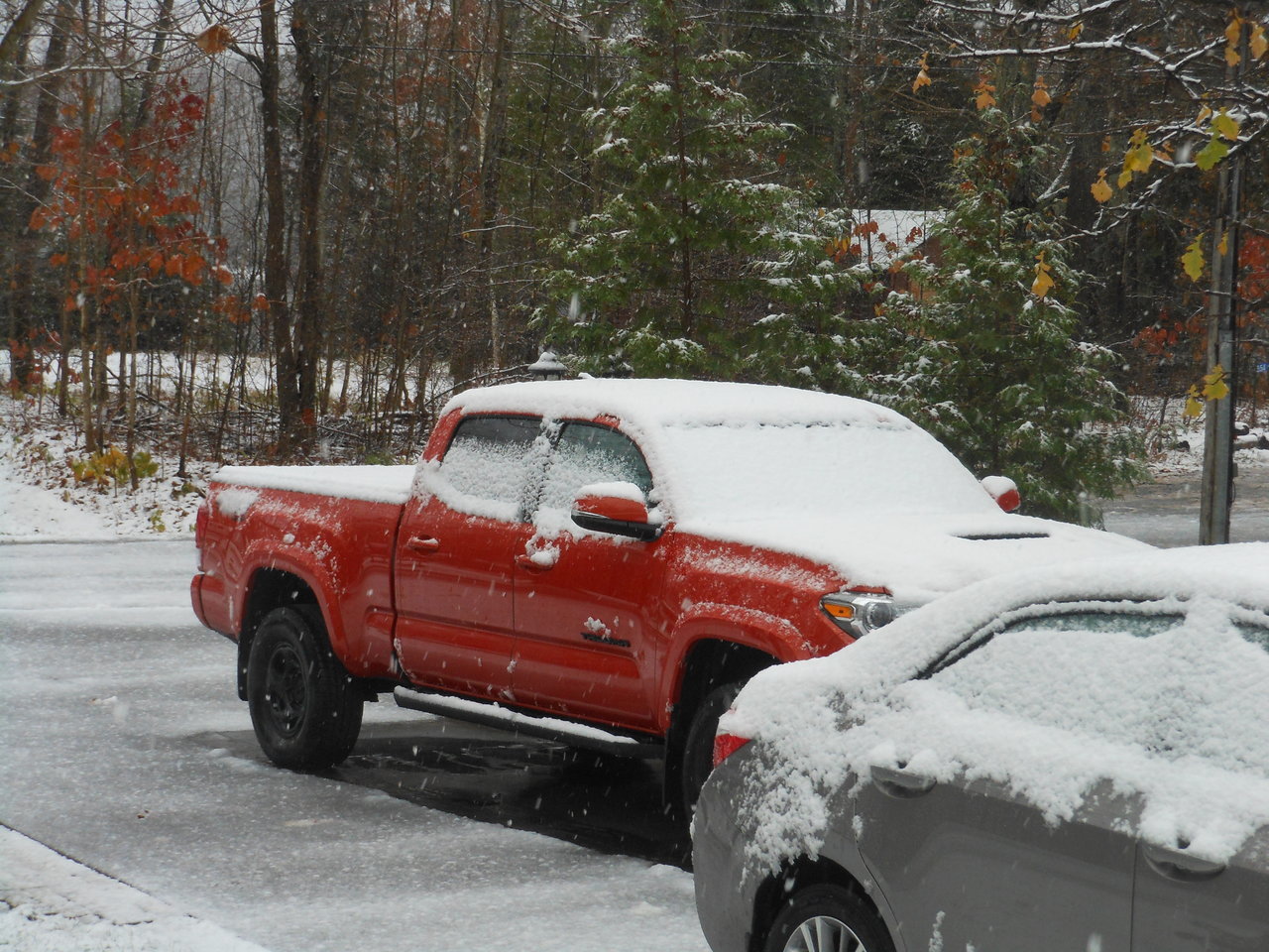 DSCN1562.jpg