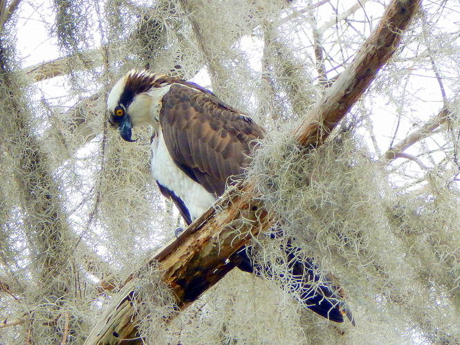 DSCN1581.jpg