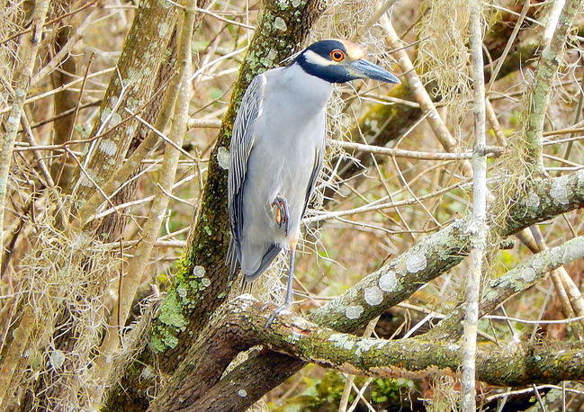 DSCN1590.jpg