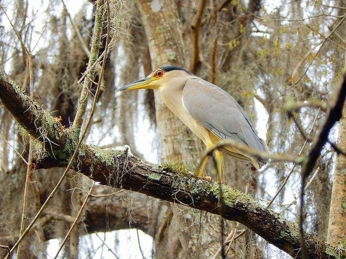 DSCN1614.jpg