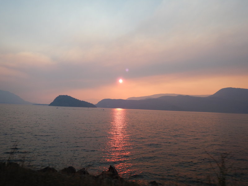 DSCN1617.jpg