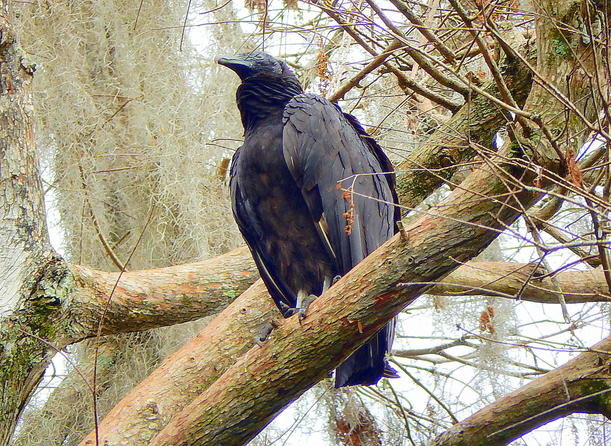 DSCN1643.jpg