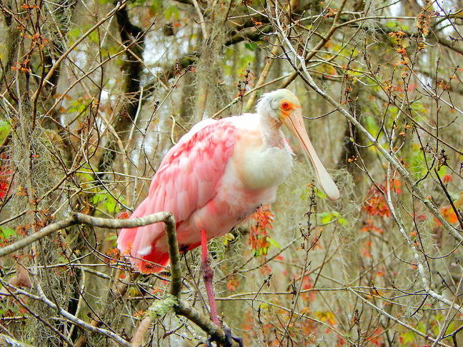 DSCN1649.jpg