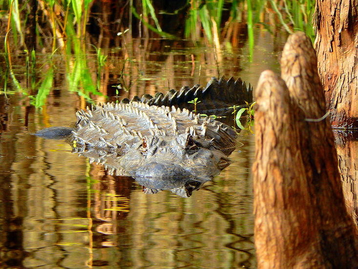 DSCN1679.jpg