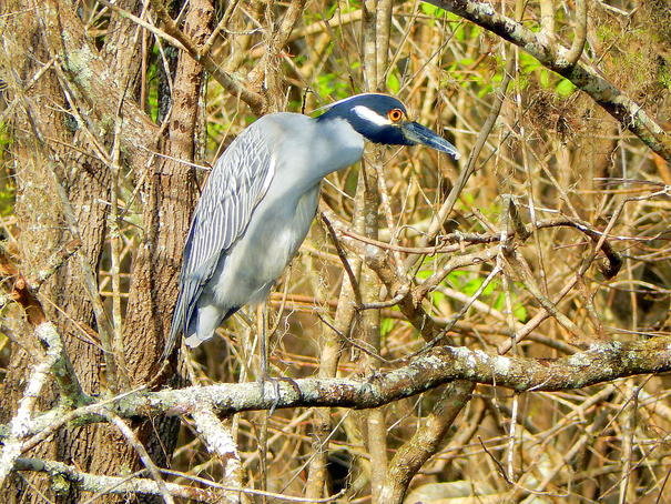 DSCN1688.jpg