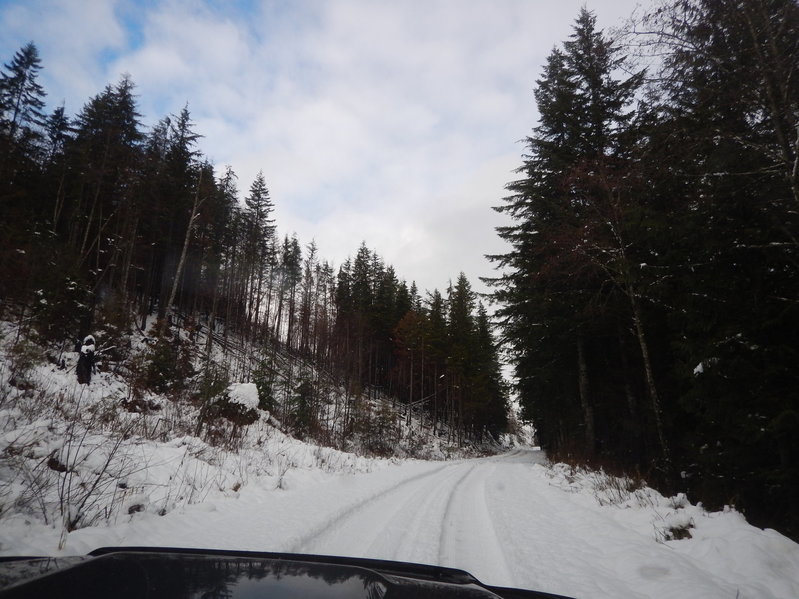 DSCN1766.jpg