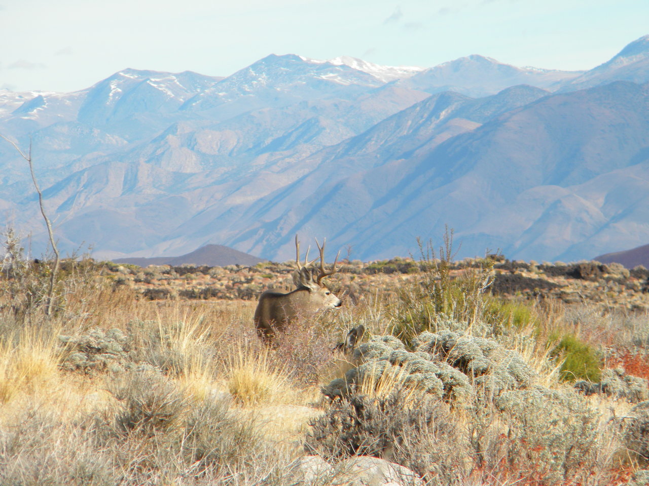 DSCN1834.jpg