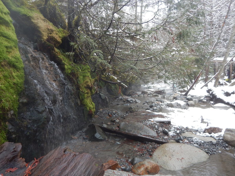 DSCN1878.jpg