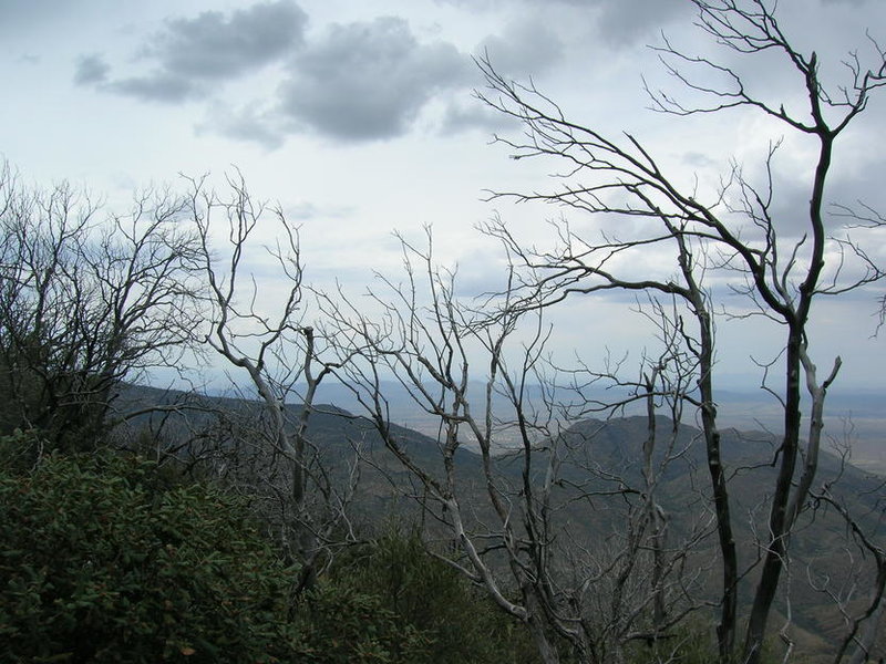 DSCN1879.jpg