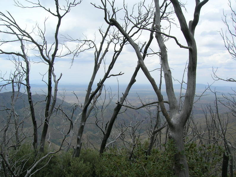 DSCN1880.jpg