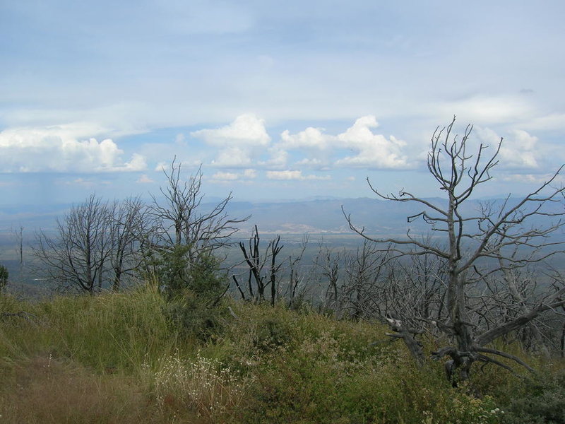 DSCN1886.jpg