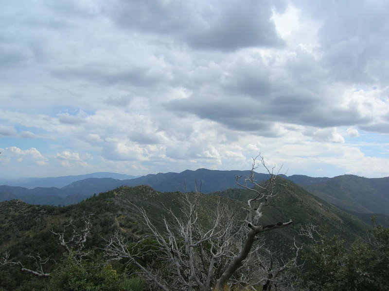 DSCN1888.jpg