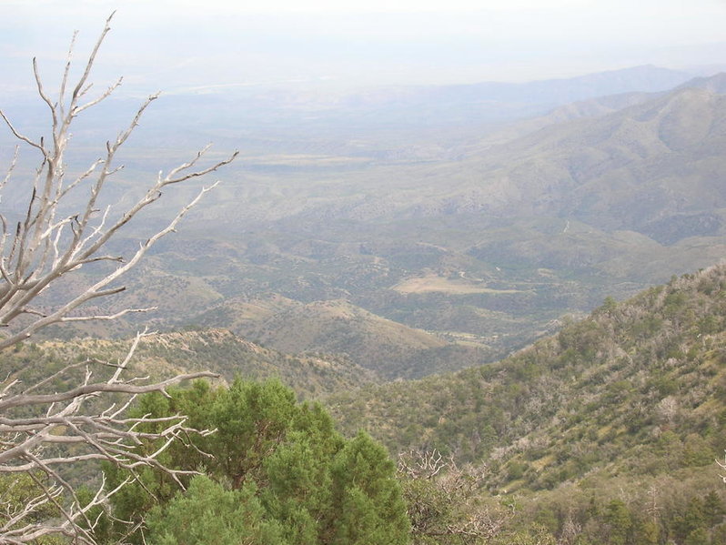 DSCN1898.jpg