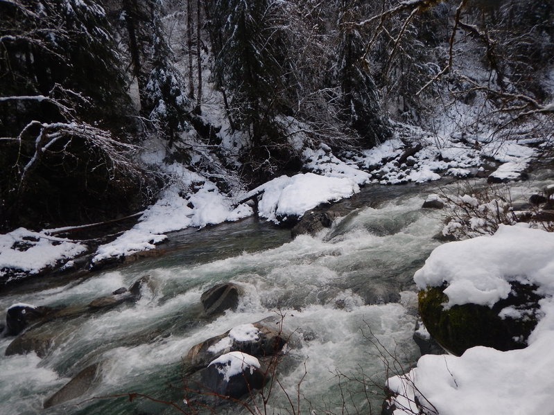 DSCN1903.jpg
