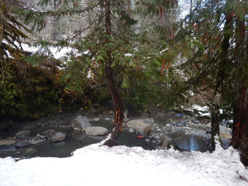 DSCN1904.jpg