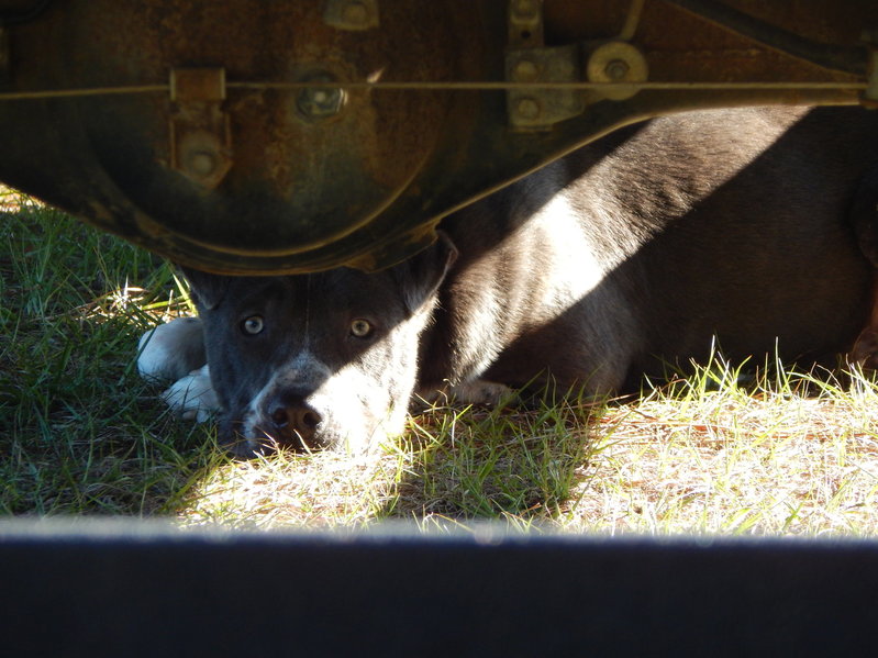 DSCN2004.jpg