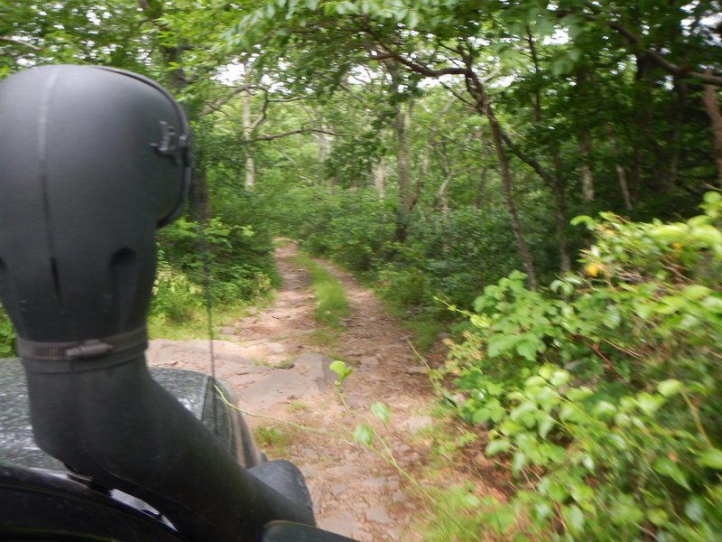 DSCN2066.jpg