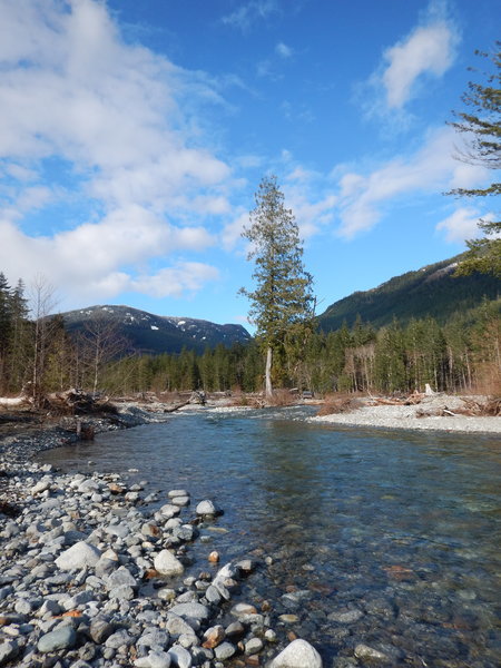 DSCN2129.jpg