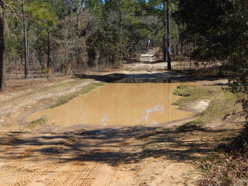 DSCN2142.jpg