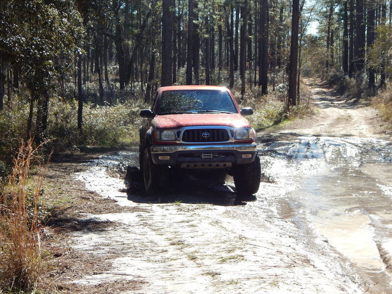 DSCN2157.jpg